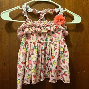 Big Lots Puppy Dress for small breed adults or Large breed puppies